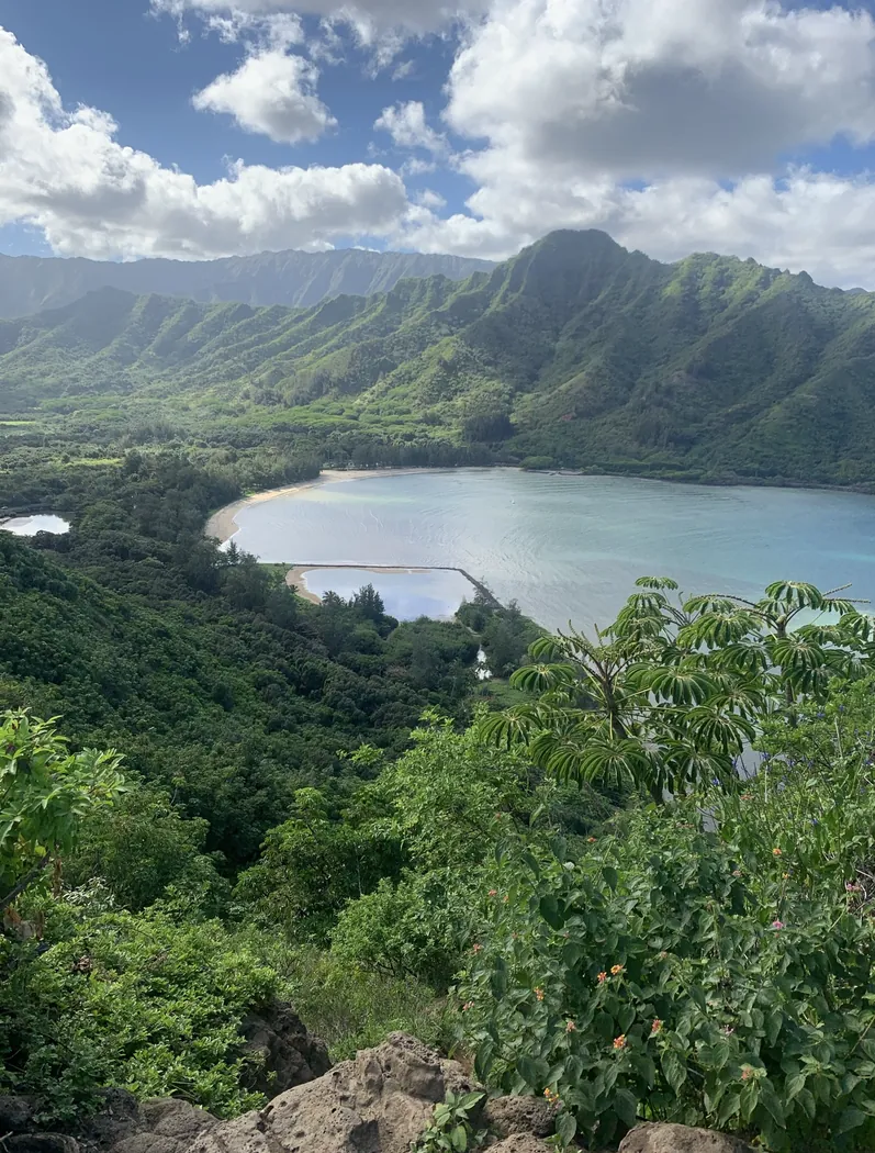 Lush mountain overlook above a turquoise bay